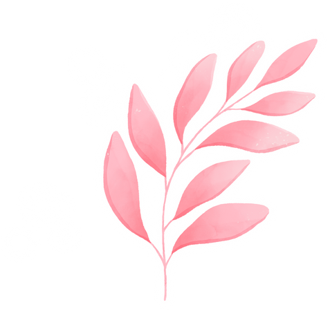 nonohana　左